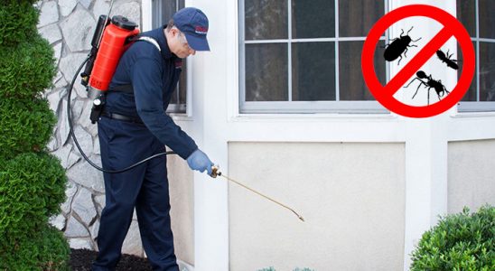 Akyazı Akrep İlaçlama böcek ilaçlama ve haşere kontrolü — ilaclama-tr.com